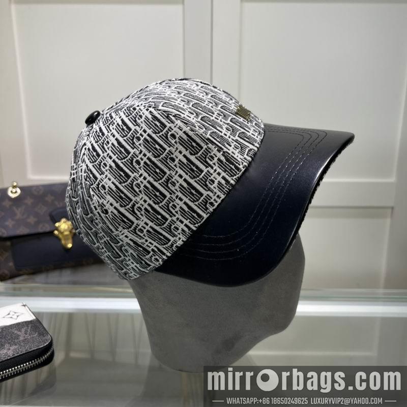 Dior Hat dxDior Hat dx73