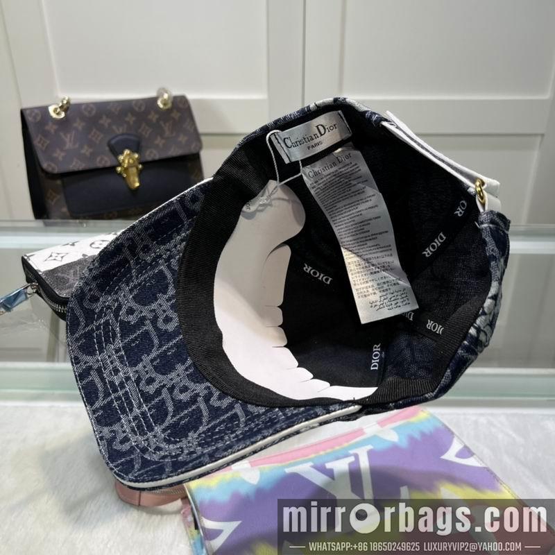 Dior Hat dx29
