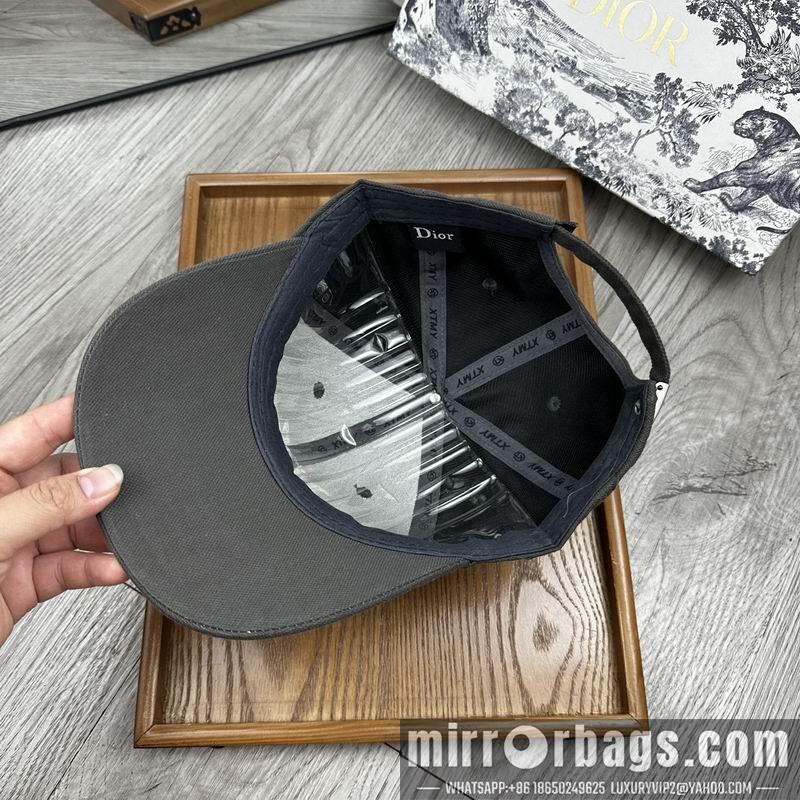 Dior Hat dx11
