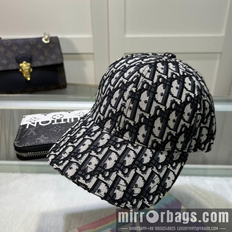 Dior Hat dx09