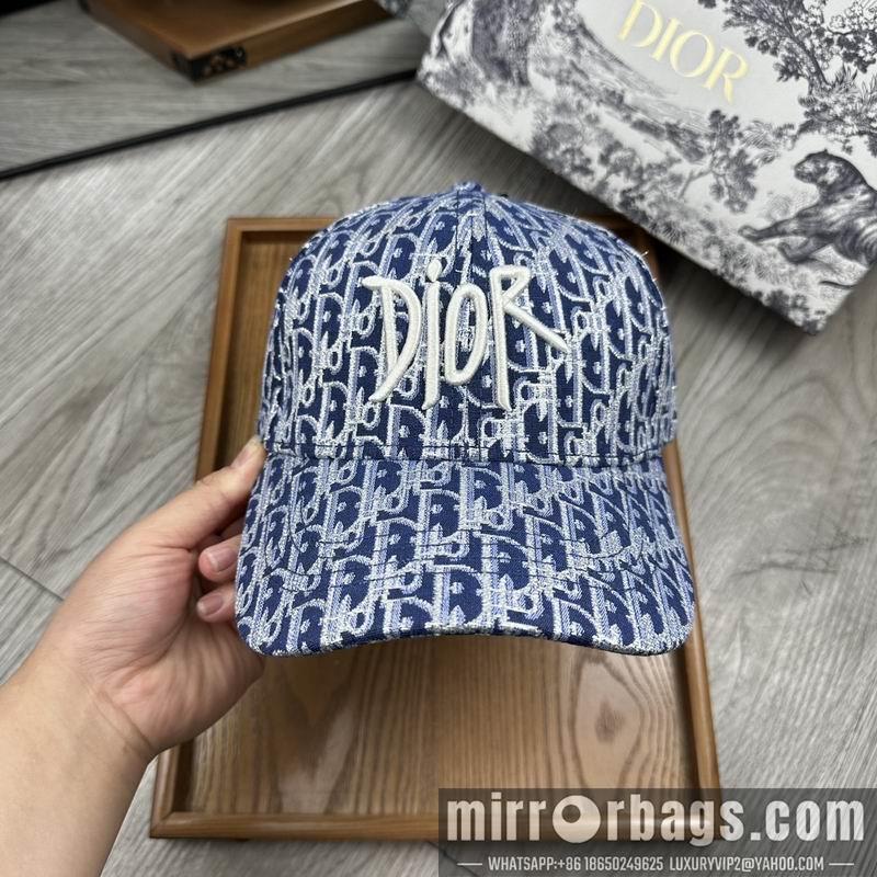 Dior Hat dx12