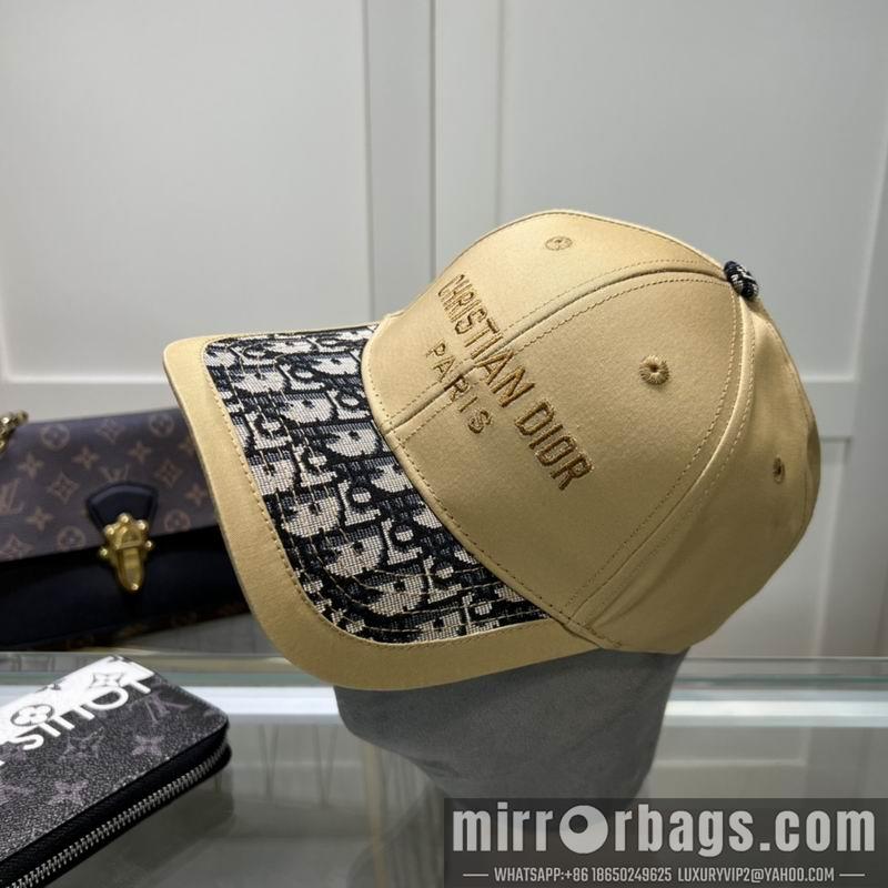 Dior Hat dx10