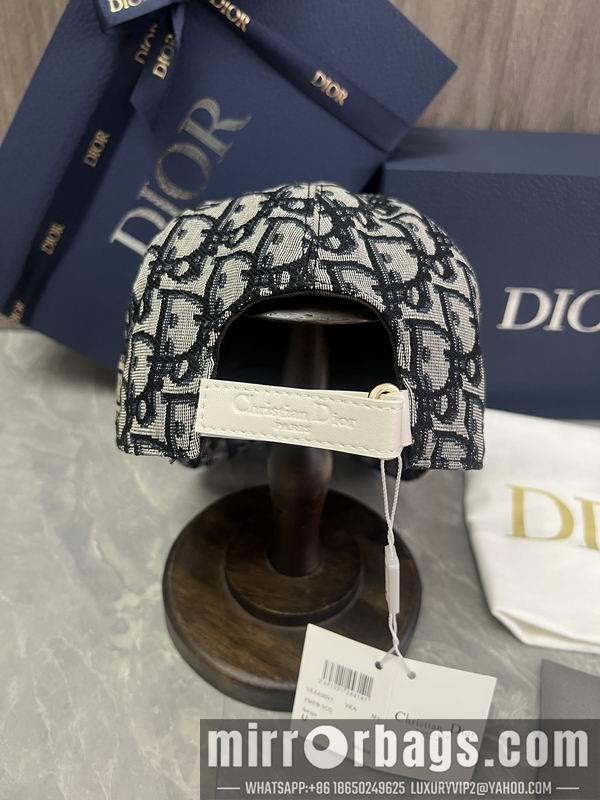 Dior Hat dx06