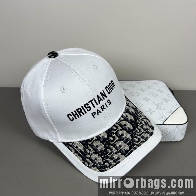Dior Hat dx13