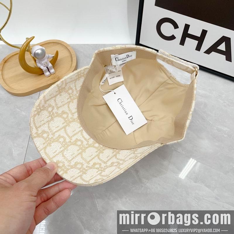 Dior Hat dx12