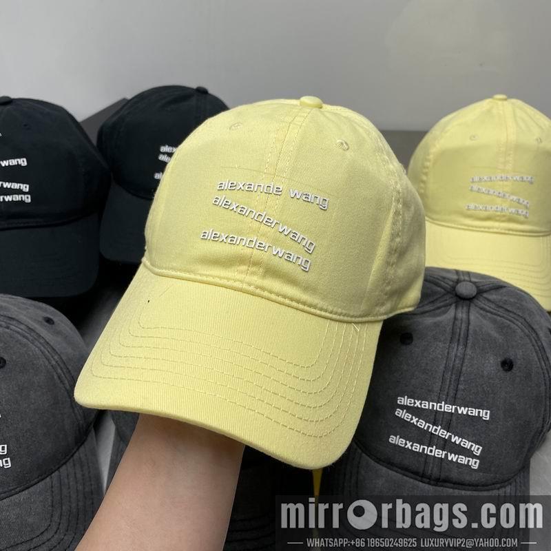 Alexander Wang Hat dx21
