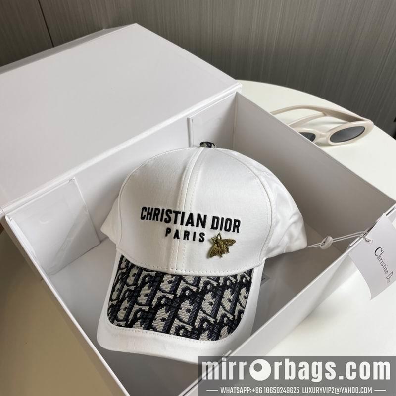 Dior Hat 081001