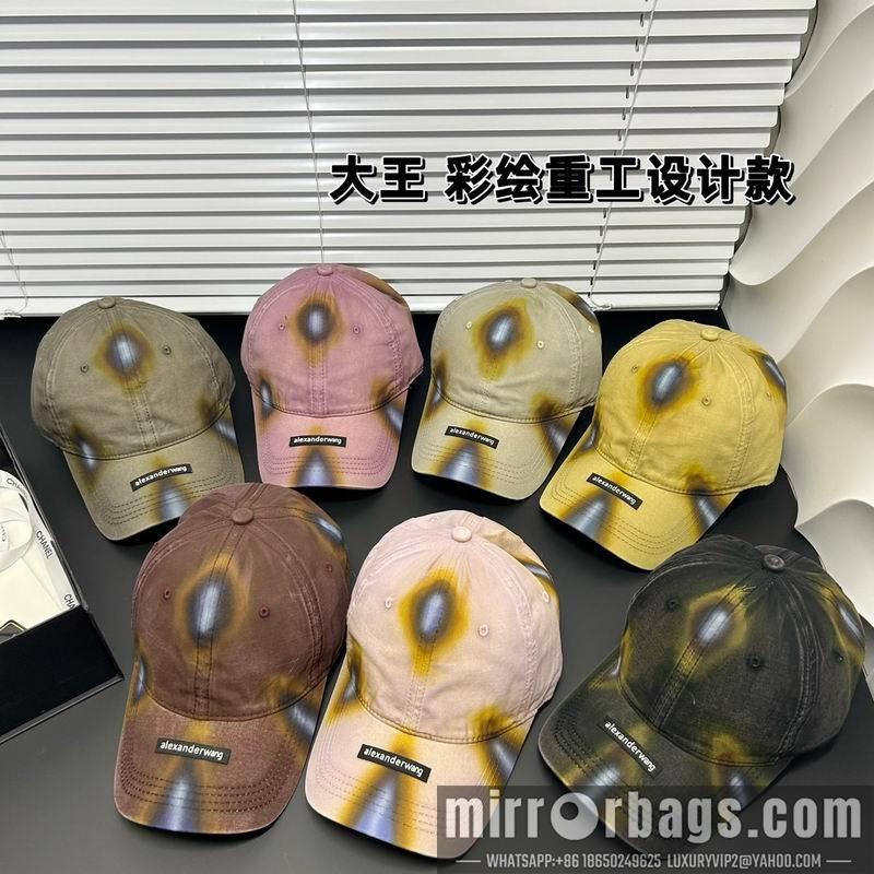 Alexander Wang Hat dx18