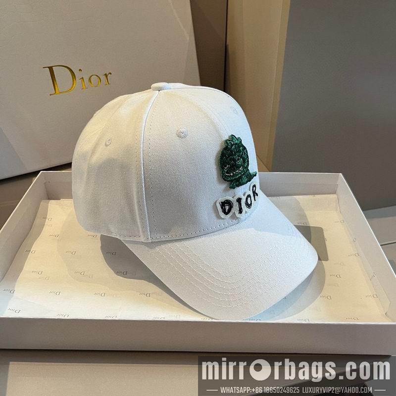 Dior Hat dx01