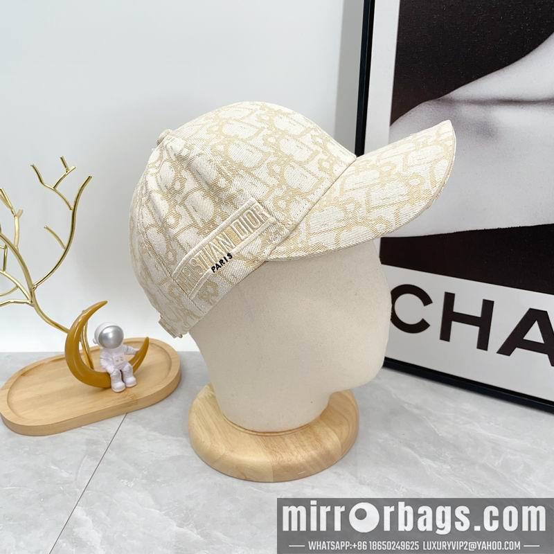 Dior Hat dx12
