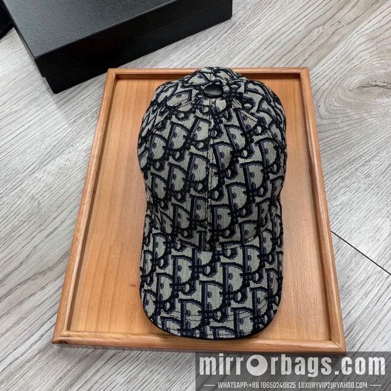 Dior Hat dx28
