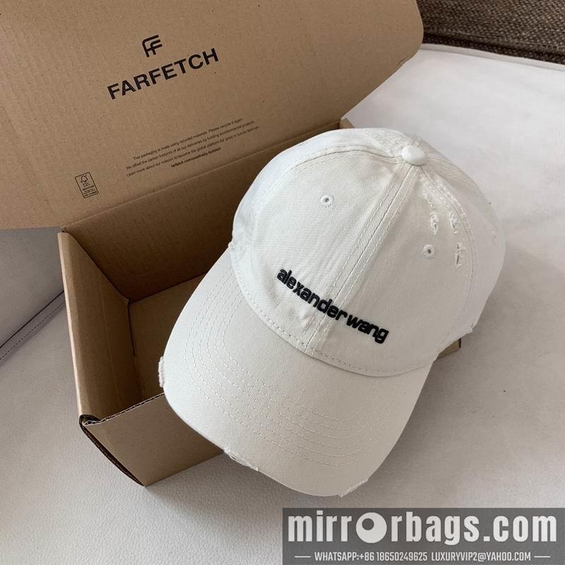 Alexander Wang Hat dx13