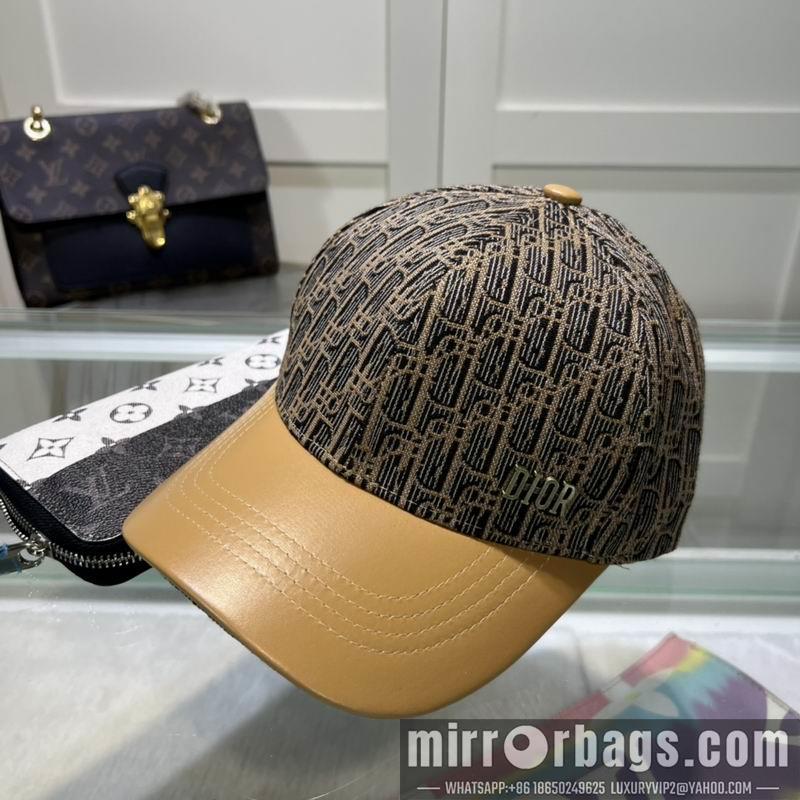 Dior Hat dxDior Hat dx73