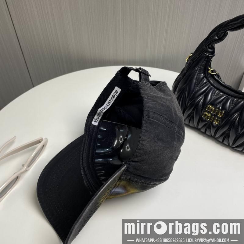 Alexander Wang Hat dx17