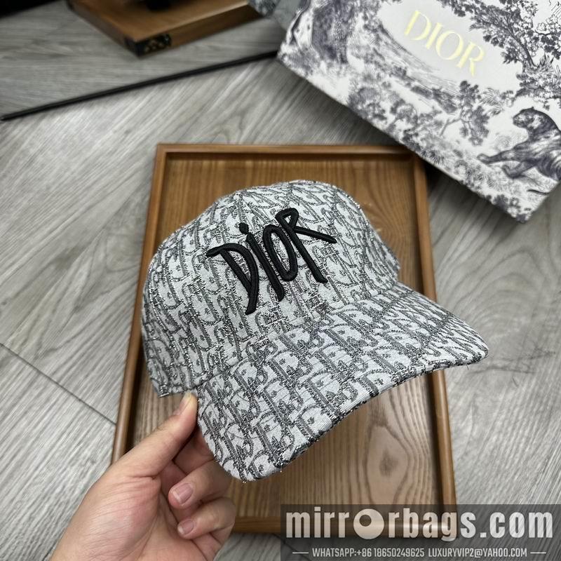 Dior Hat dx12