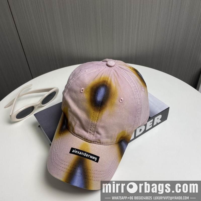 Alexander Wang Hat dx17