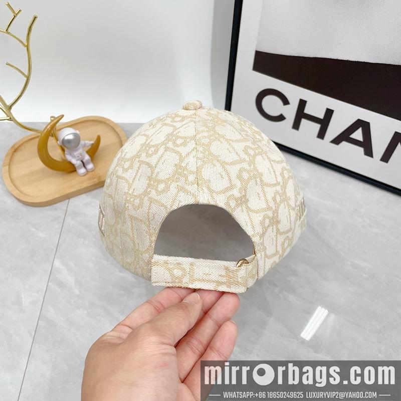 Dior Hat dx12