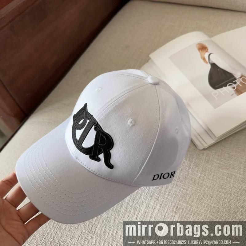 Dior Hat dx11