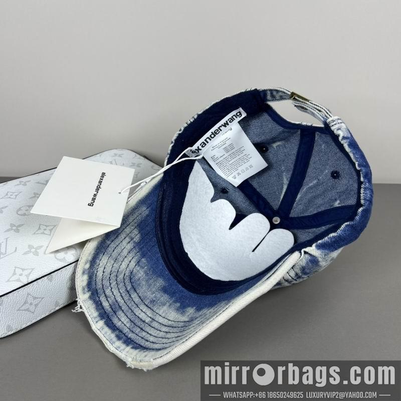Alexander Wang Hat dx20