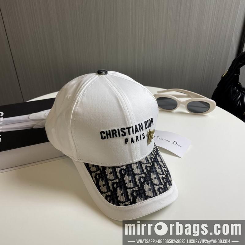 Dior Hat 081001