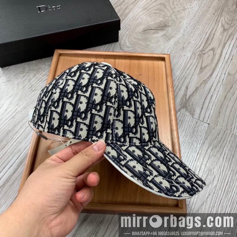 Dior Hat dx28