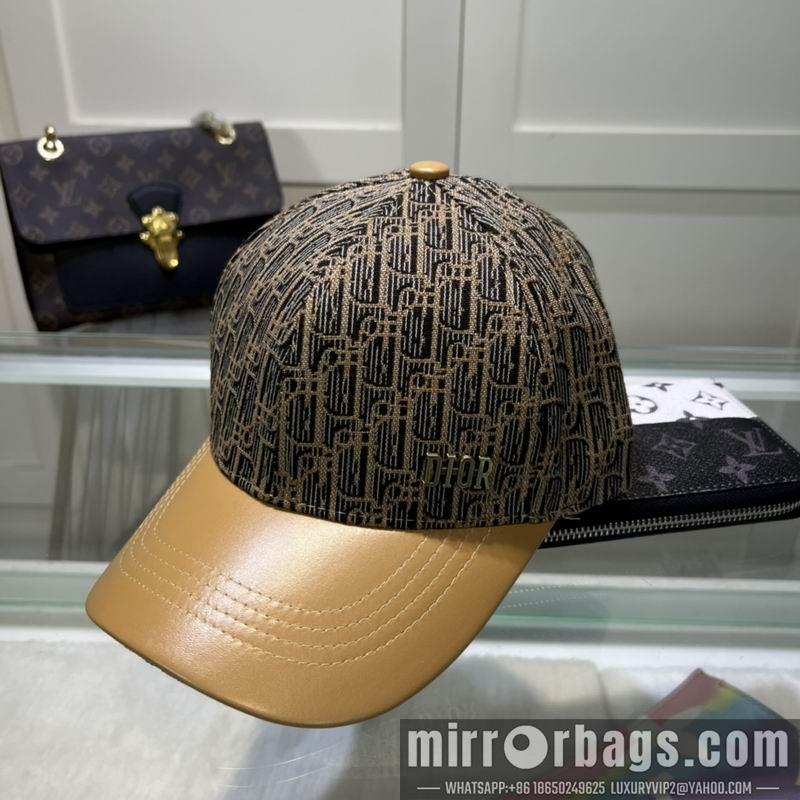 Dior Hat dxDior Hat dx73