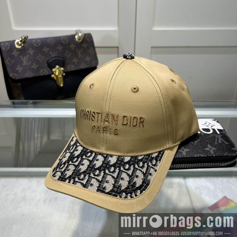 Dior Hat dx10