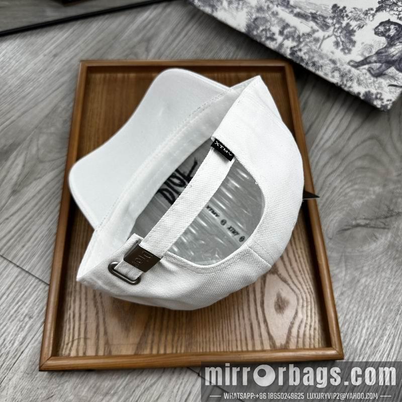 Dior Hat dx11