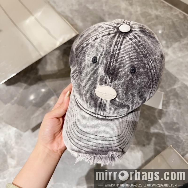 Alexander Wang Hat 081801