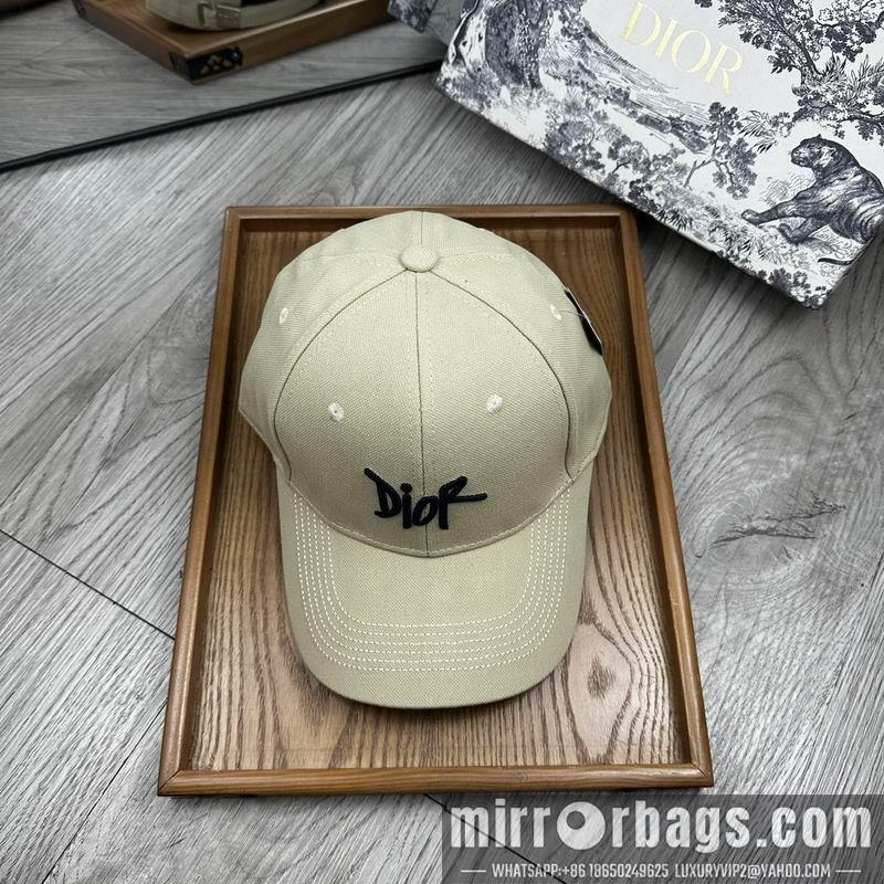 Dior Hat dx11