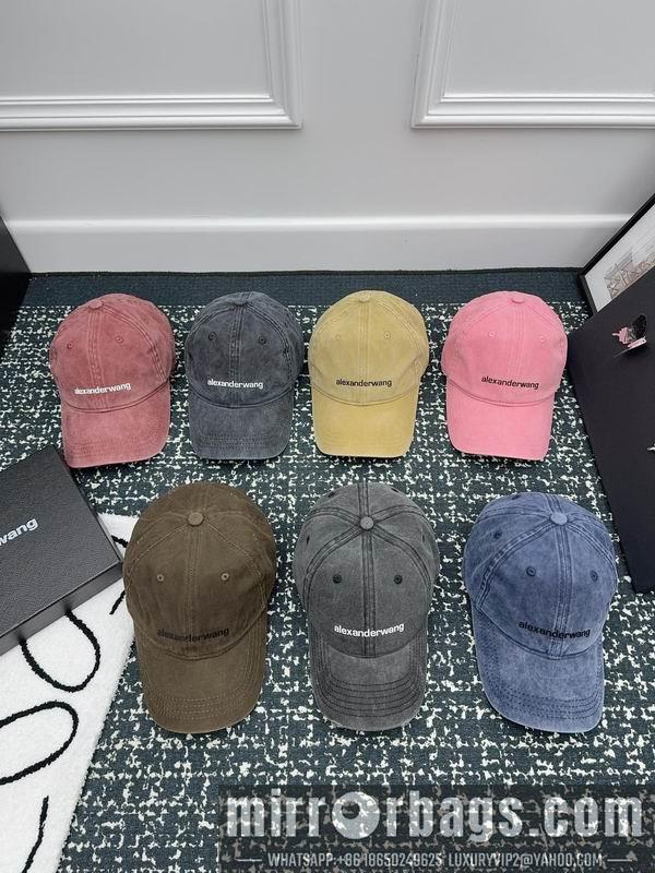 Alexander Wang Hat 120401