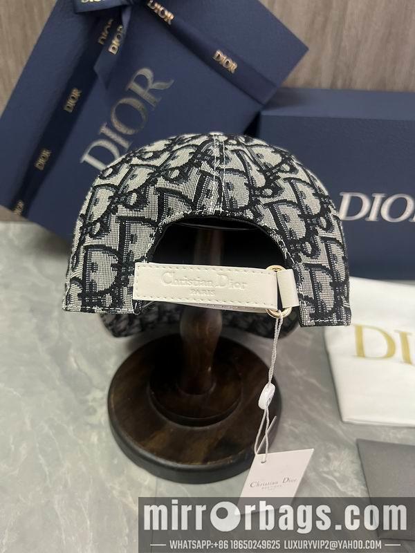 Dior Hat dx06