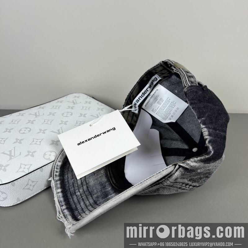 Alexander Wang Hat dx20