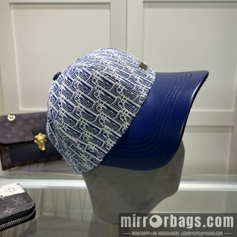 Dior Hat dxDior Hat dx73