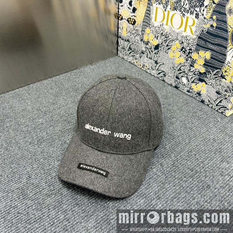 Alexander Wang Hat dx15