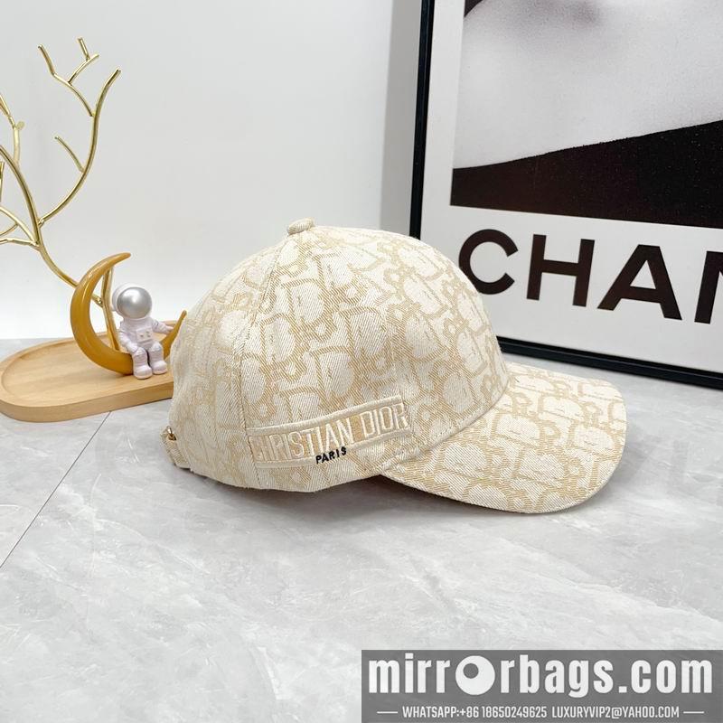Dior Hat dx12