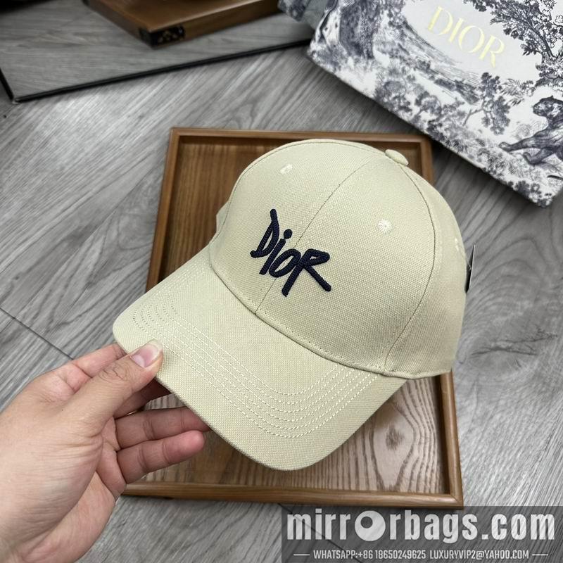 Dior Hat dx11