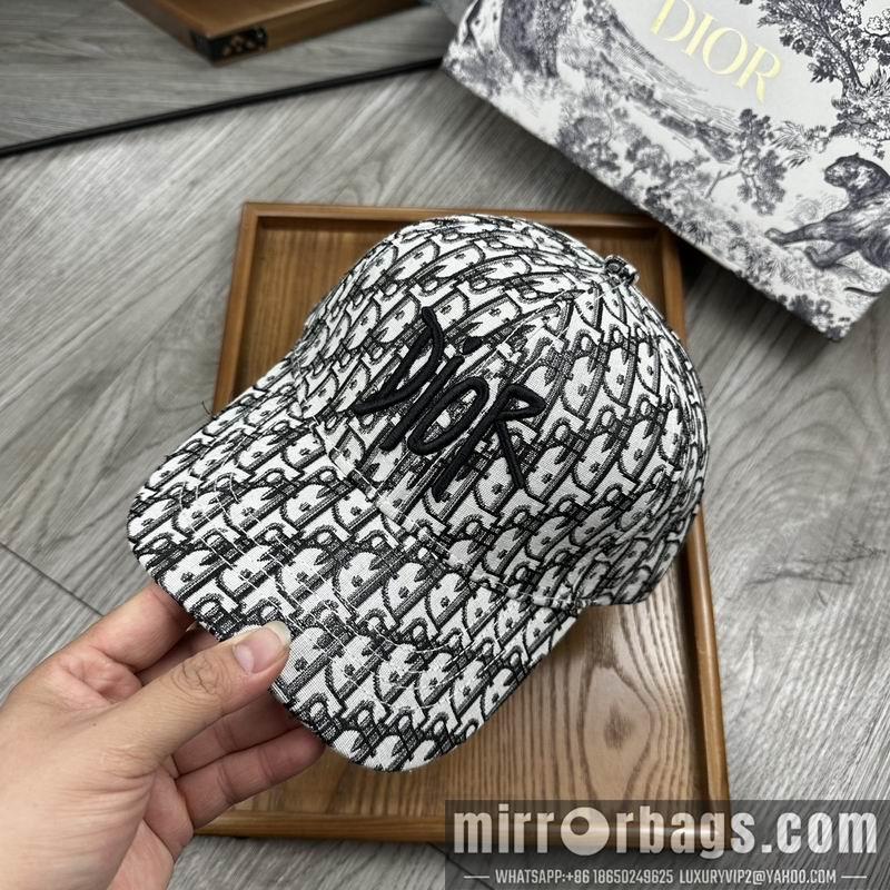Dior Hat dx12