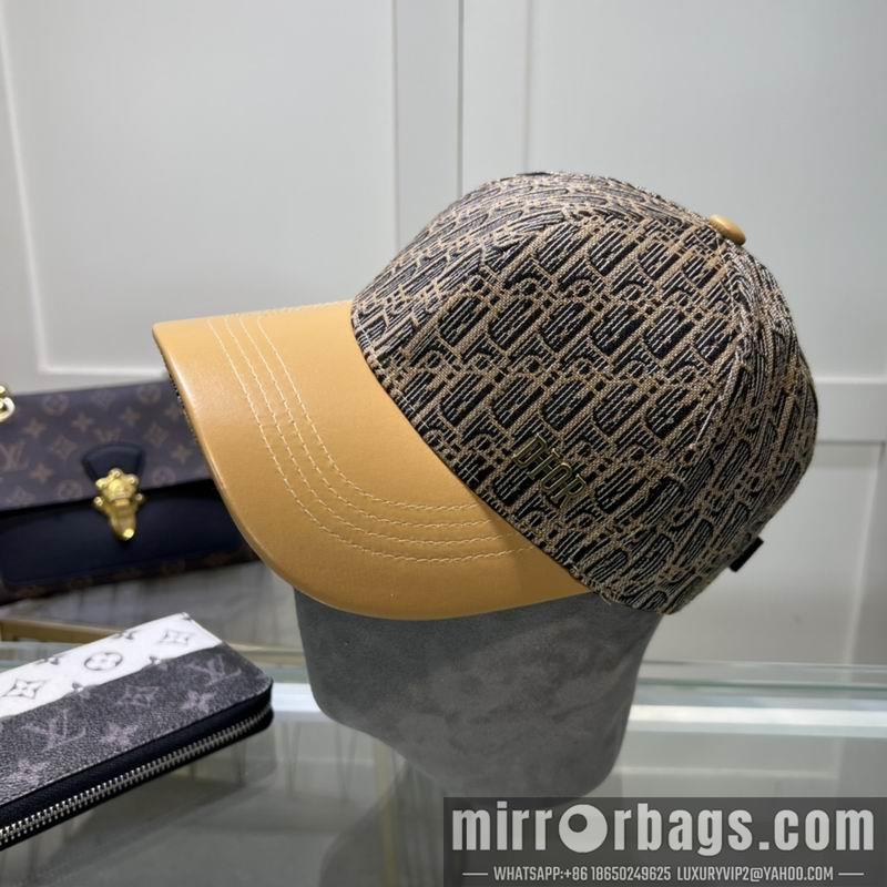Dior Hat dxDior Hat dx73
