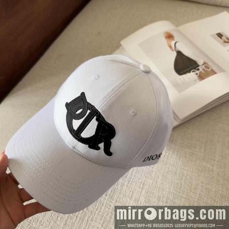 Dior Hat dx11