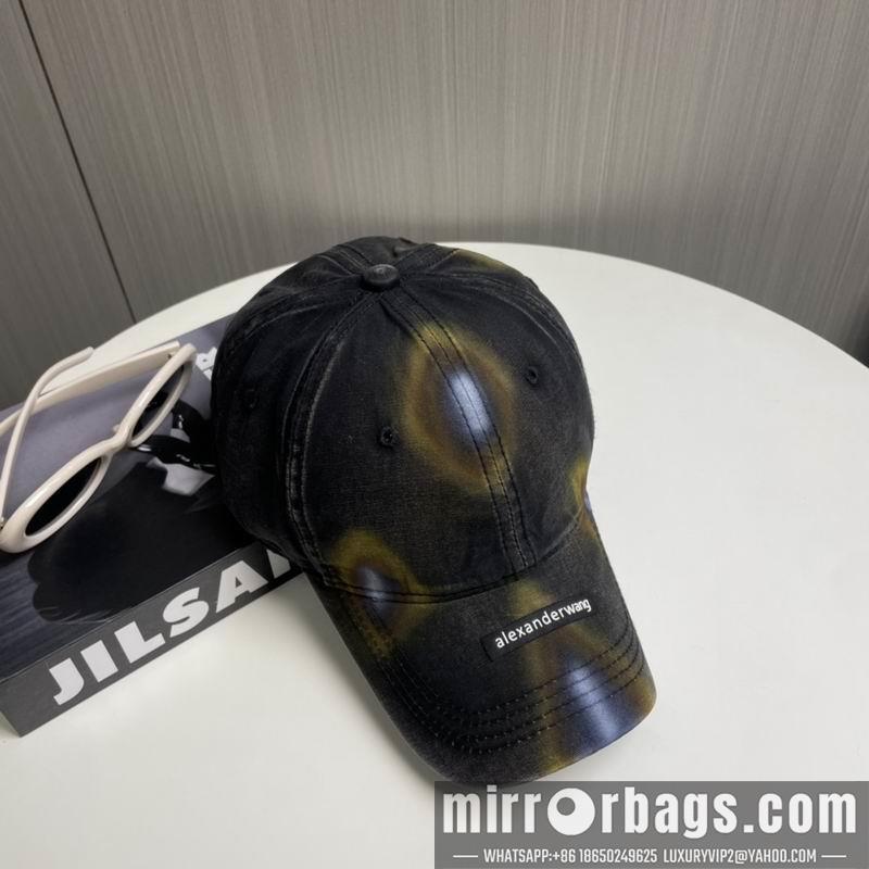 Alexander Wang Hat dx17