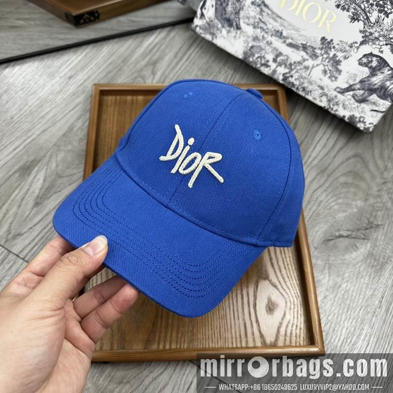 Dior Hat dx11