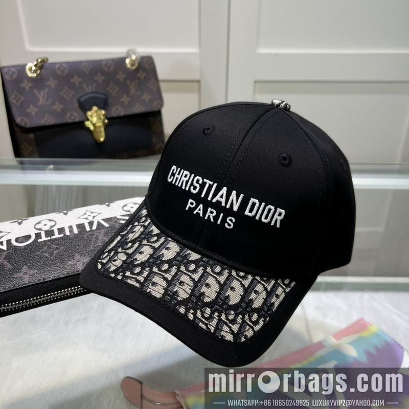 Dior Hat dx10