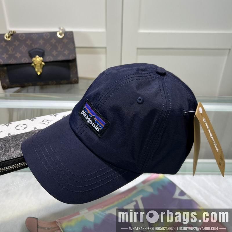 Patagonia Hat dx08