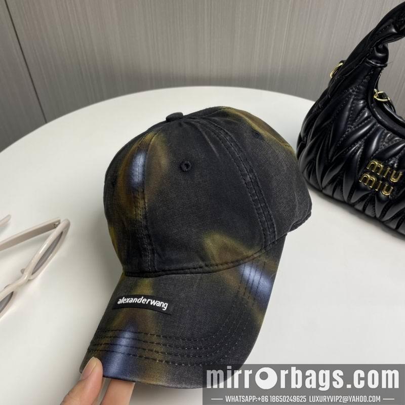 Alexander Wang Hat dx17