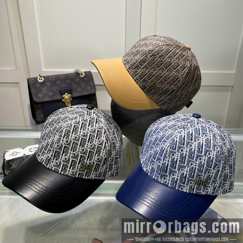 Dior Hat dxDior Hat dx73