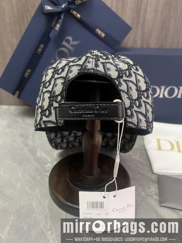 Dior Hat dx06