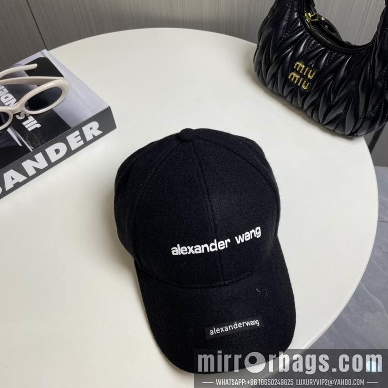 Alexander Wang Hat dx16