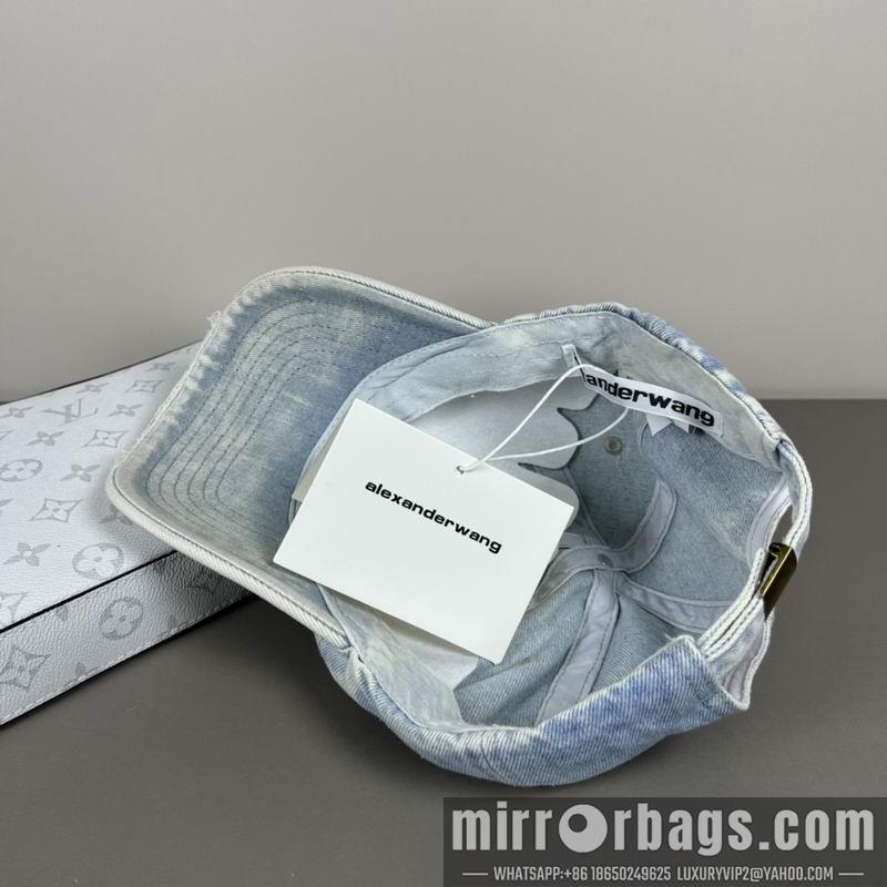 Alexander Wang Hat dx20