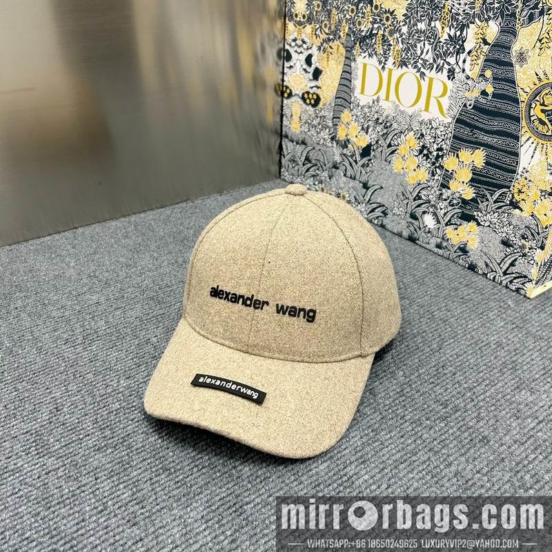 Alexander Wang Hat dx15